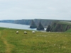 Duncansby Head - The Stacks
