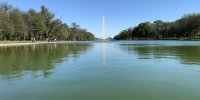 The reflecting pool