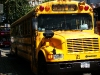 School Bus