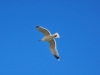 DSC_0970.jpg