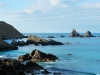 DSC_1091.jpg
