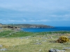 DSC_1168.jpg